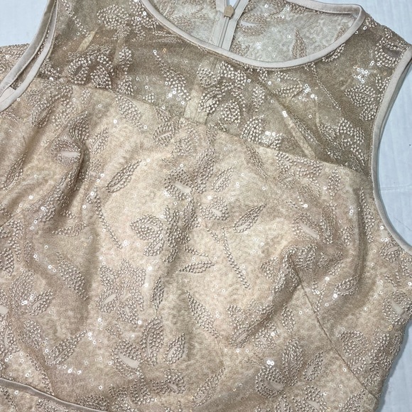Lauren Ralph Lauren Embroidered Sequins Sleeveless Champagne MaXi Dress NWT 12 - Picture 12 of 15